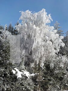 法律咨询 有限公司 法律咨询 有限公司